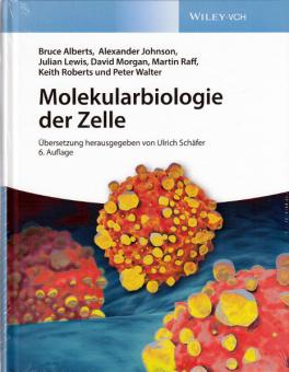 Molekularbiologie der Zelle 