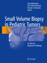 Small Volume Biopsy in Pediatric Tumors 