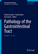 Pathology of the Gastrointestinal Tract / Book 