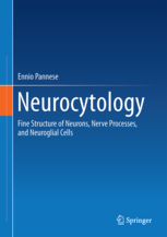 Neurocytology 