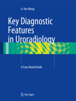 Key Diagnostic Features in Uroradiology 
