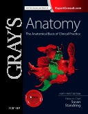 Gray's Anatomy 