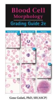 Blood Cell Morphology Grading Guide 