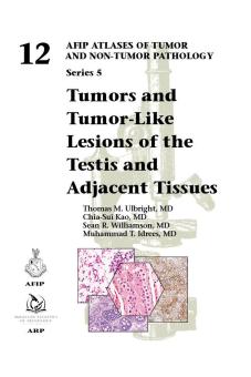 Tumors and Tumor-Like Lesions of the Testis and Adjacent Tissues 