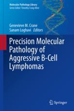 Precision Molecular Pathology of Aggressive B-Cell Lymphomas 